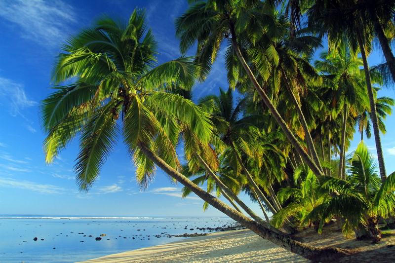 Playa isla de Cook